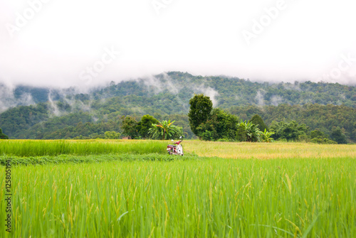 nature mountain clouds landscape chiangmai thailand