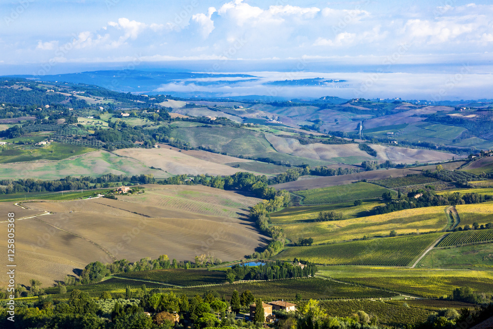 Landscape of Crete Senesi in Tuscany