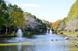 秋の公園の池