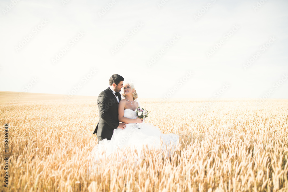 Emotional beautiful bride hugging newlywed groom at a field closeup Emotional beautiful bride hugging newlywed groom at a field closeup