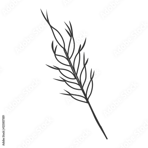 silhouette of ear of wheat icon over white background. vector illustration