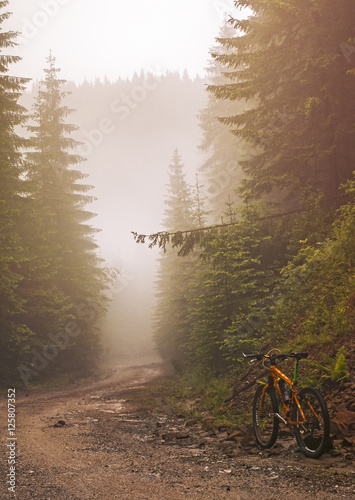 Morning fog - Cindrel mountains, Rozdesti area, Sibiu county, Romania, 1400m  photo