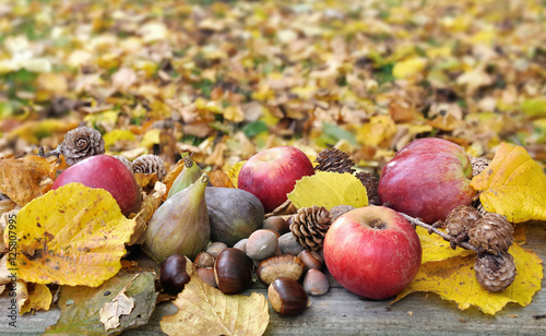 fruits d'automne parmi des feuilles jaunes dans un jardin
