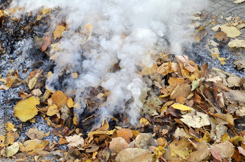 smoke from burning leaves ,they were gathered by cleaning