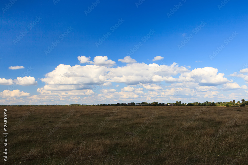 Beautiful yellow field and clouds sky