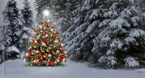 Weihnachtsbaum im Wald