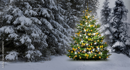 Weihnachtsbaum im Wald