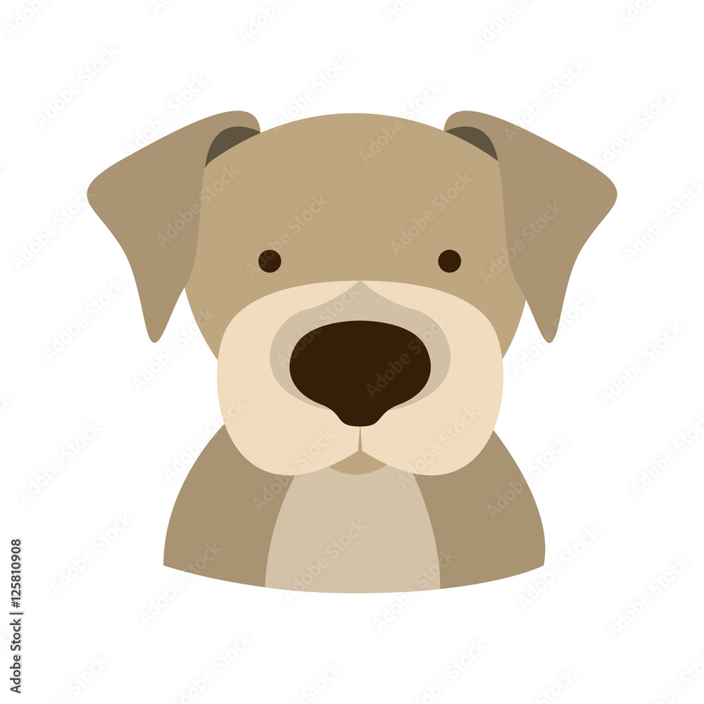 Fototapeta premium dog face animal cartoon icon over white background. colorful design. vector illustration