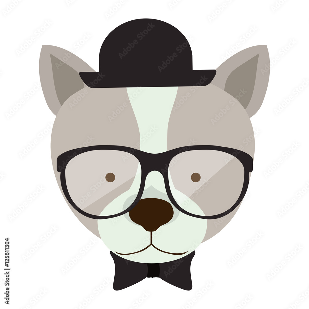 dog cartoon with glasses and bow tie.animal hipster lifestyle design. vector illustration