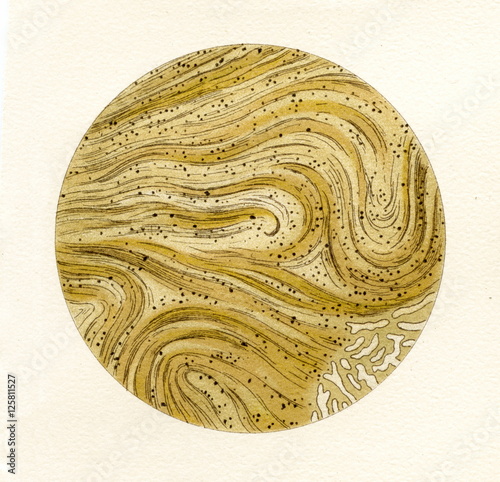Fotografi Photomicrograph of obsidian from Nevada (from Meyers Lexikon, 1895, 7/476/477)
