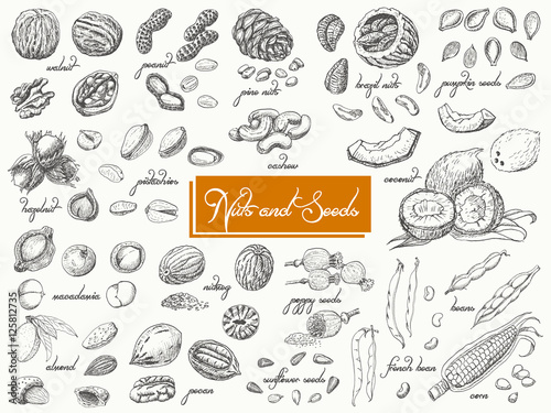 Big collection of isolated nuts and seeds on white background photo