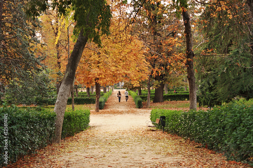 Otoño el el parque del Retiro, Madrid, España