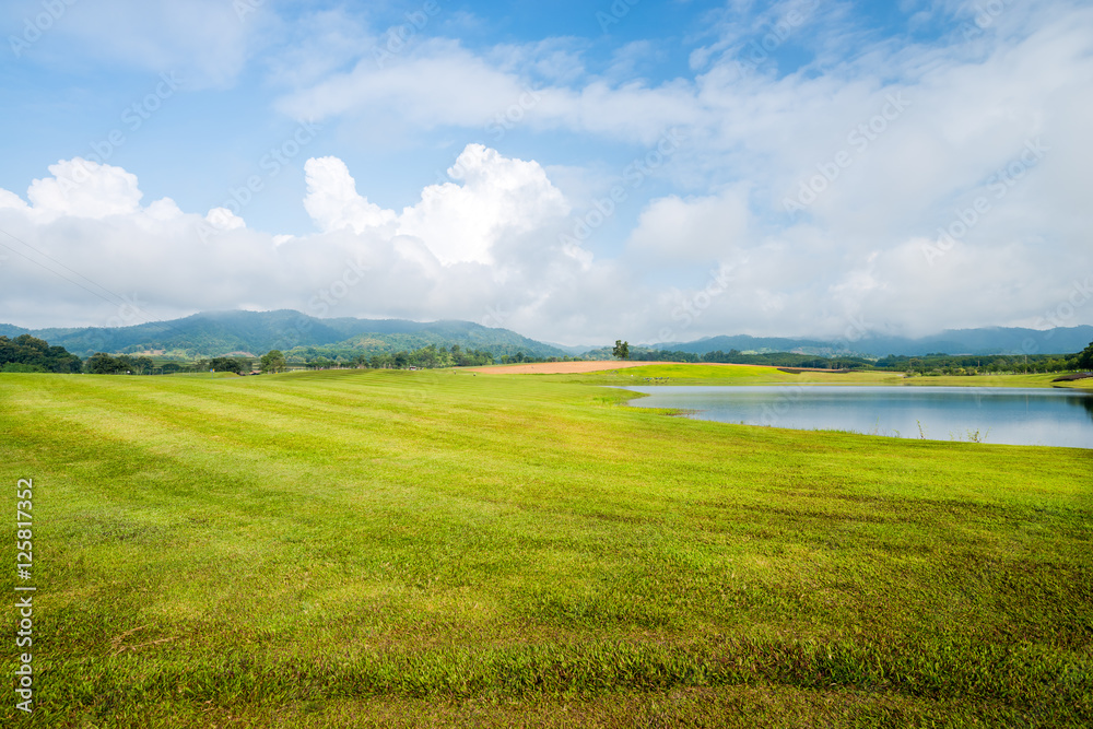 Fototapeta premium grass field with lake