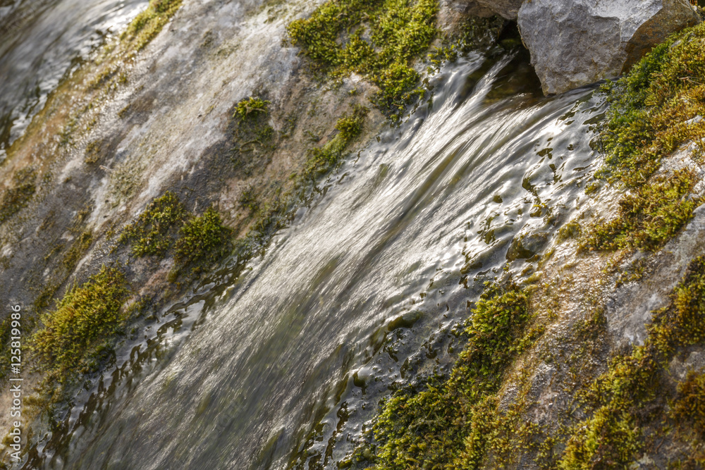 Wellspring in nature. Wellspring in nature.