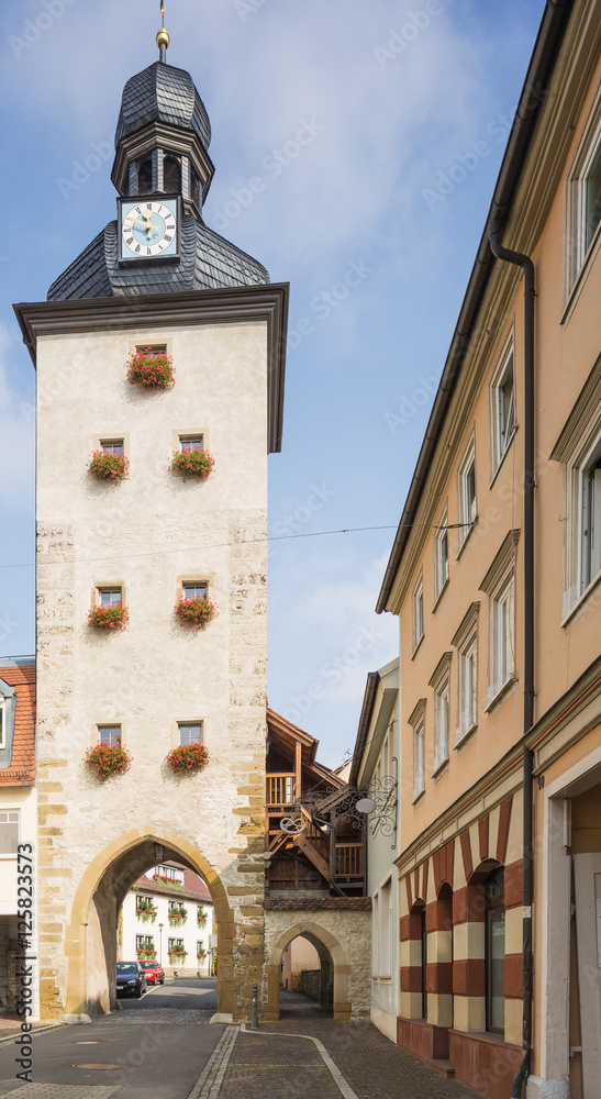 View of the Geese tower in Weikersheim along the Romantic Road