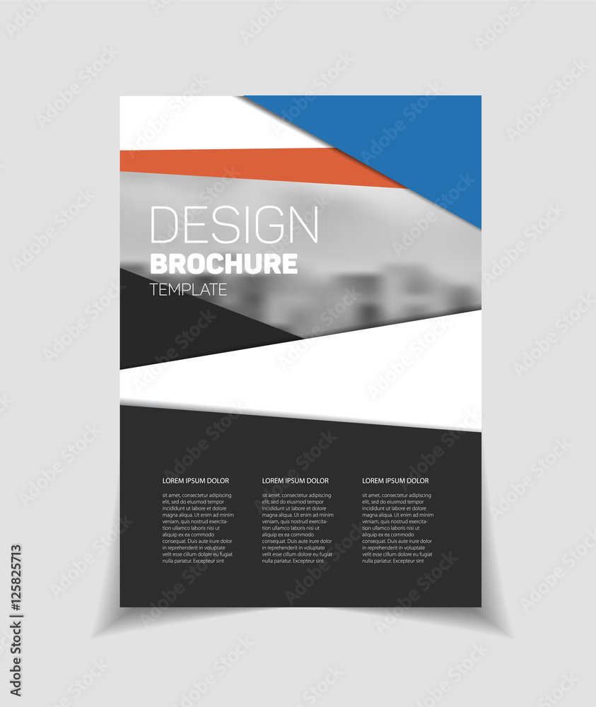 Fototapeta premium Abstract business Flyer design vector template in A4 size. Docum