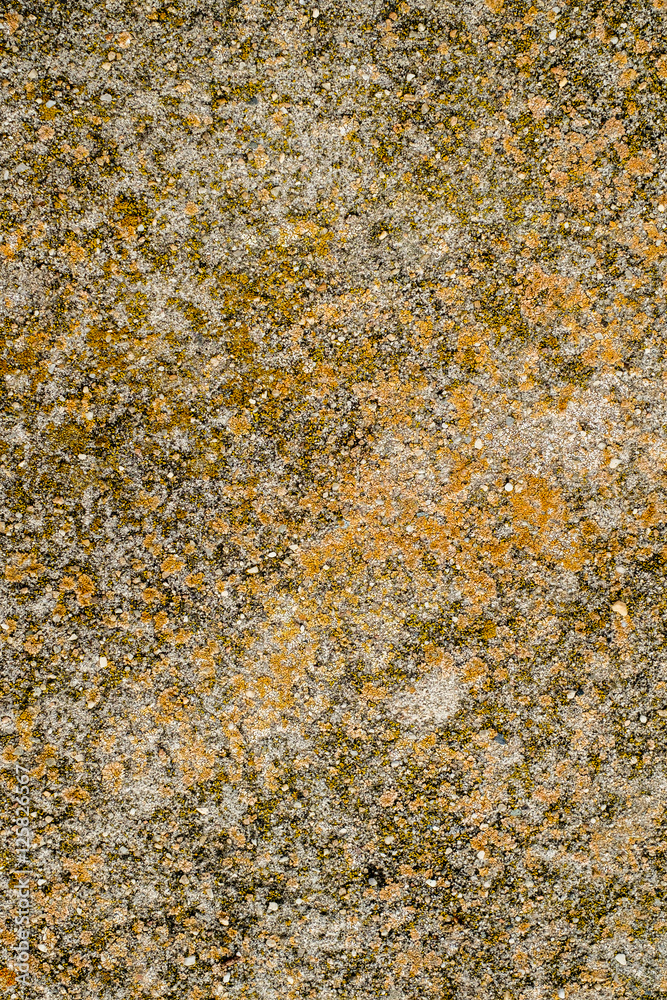 Old concrete covered with moss and lichens Old concrete covered with moss and lichens