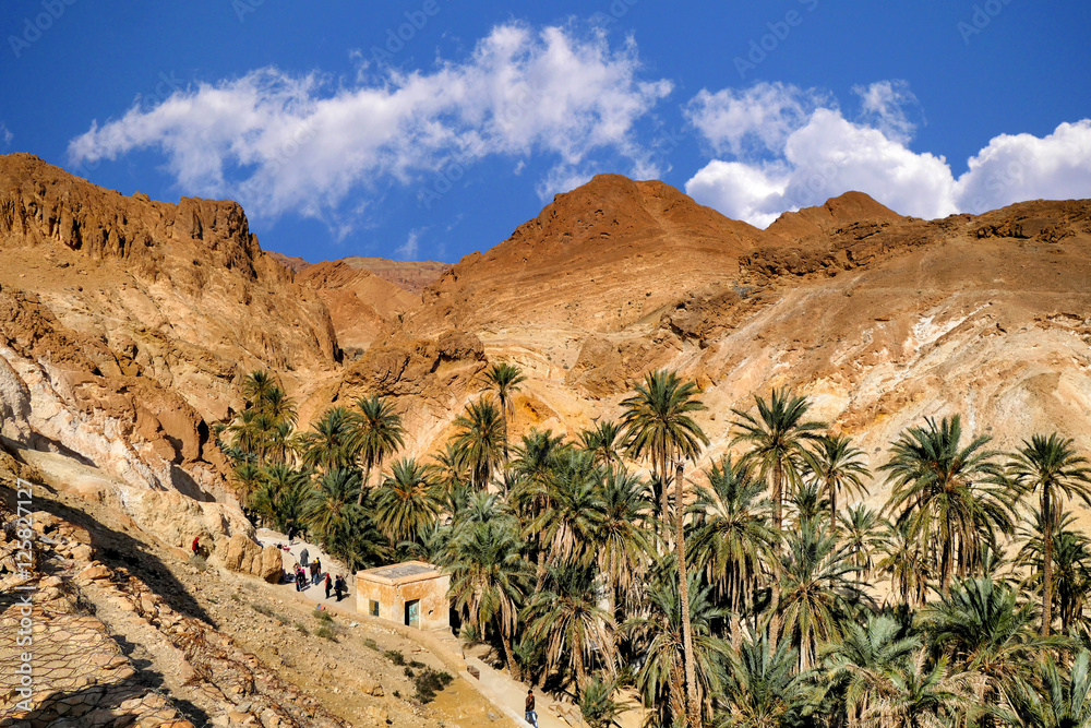 Fototapeta premium Oaza w górach Chebika w Tunezji