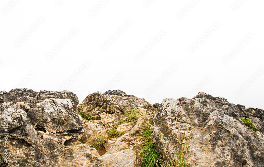 Big rock Big rock