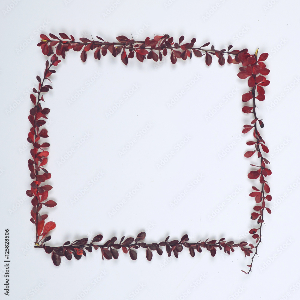 Autumn leaves on white background in form of frame - Flat lay Autumn leaves on white background in form of frame - Flat lay