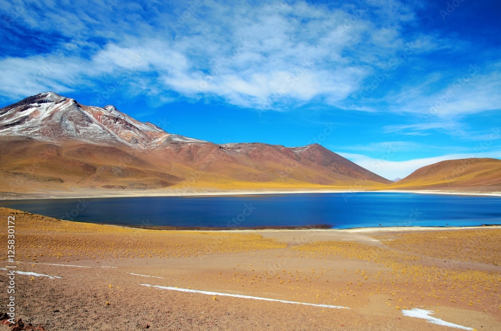 Panoramic view of the Laguna Altiplanica which is a high plateau Lagoon in the area of San Pedro de Atacama in Chile, South America