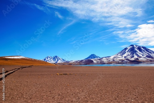 Panoramic view of the Laguna Altiplanica which is a high plateu Lagoon in the area of San Pedro de Atacama in Chile, South America
