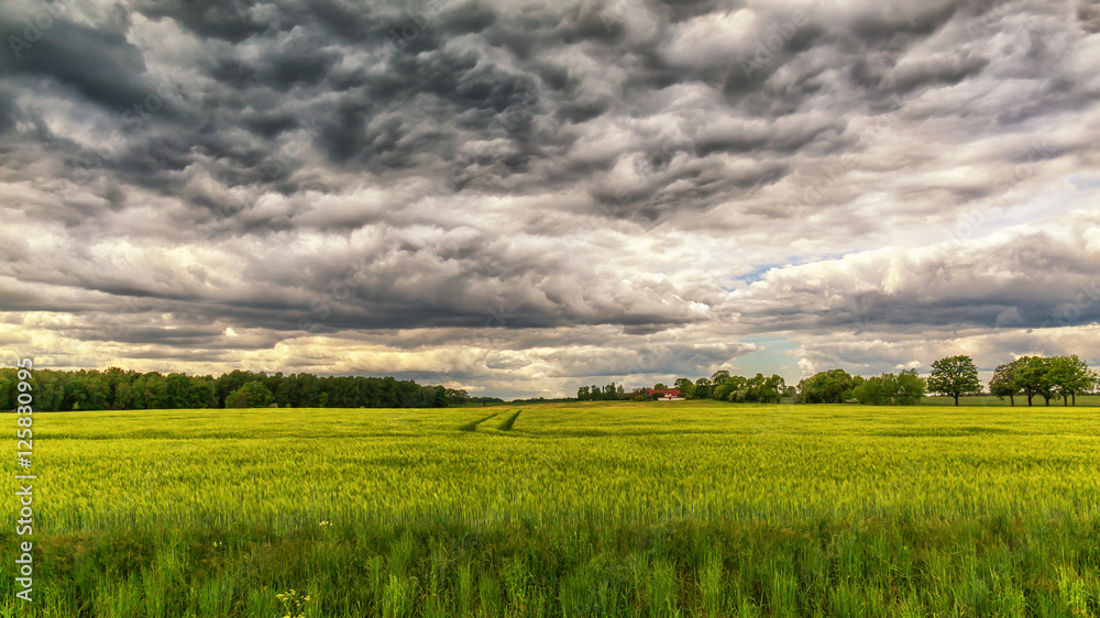 Fototapeta premium Wolkenstimmung