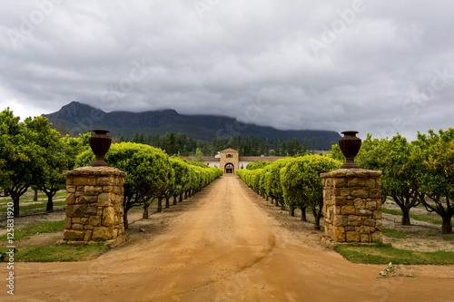 Stellenbosch wine region close to Cape Town, South Africa