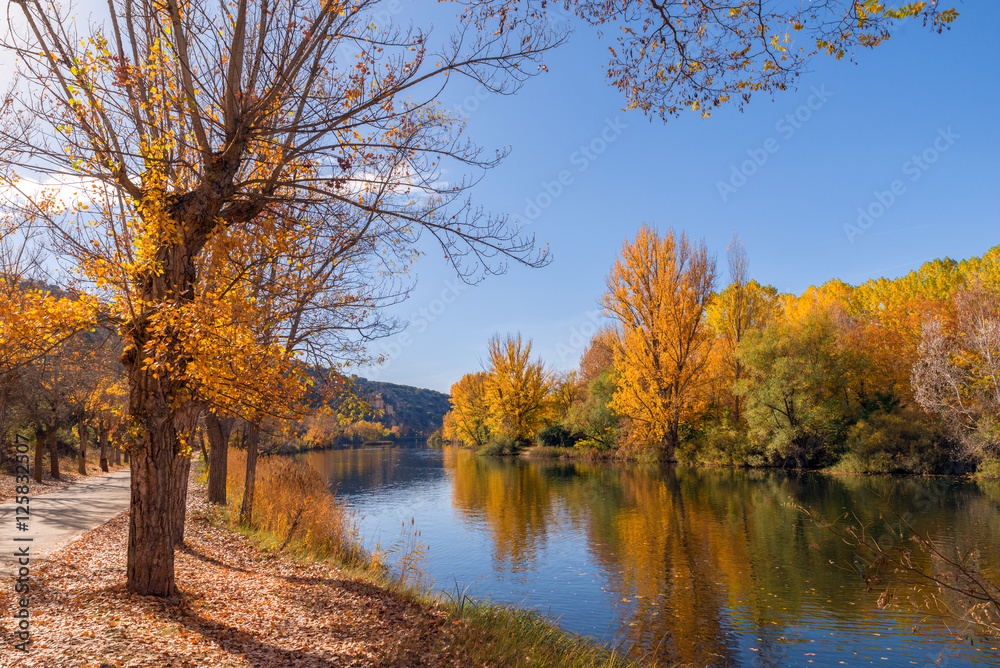 Autumn landscape Autumn landscape