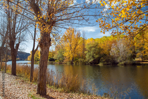 Autumn landscape