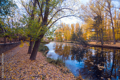 Autumn landscape