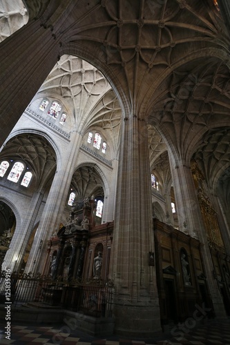 Santa Iglesia Catedral de Nuestra Señora de la Asunción y de San Frutos de Segovia, conocida como la Dama de las Catedrales estilo gótico,Castilla y León,España