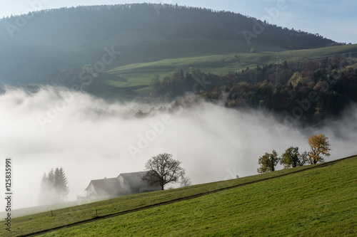 Panorama mit Nebel in der Natur