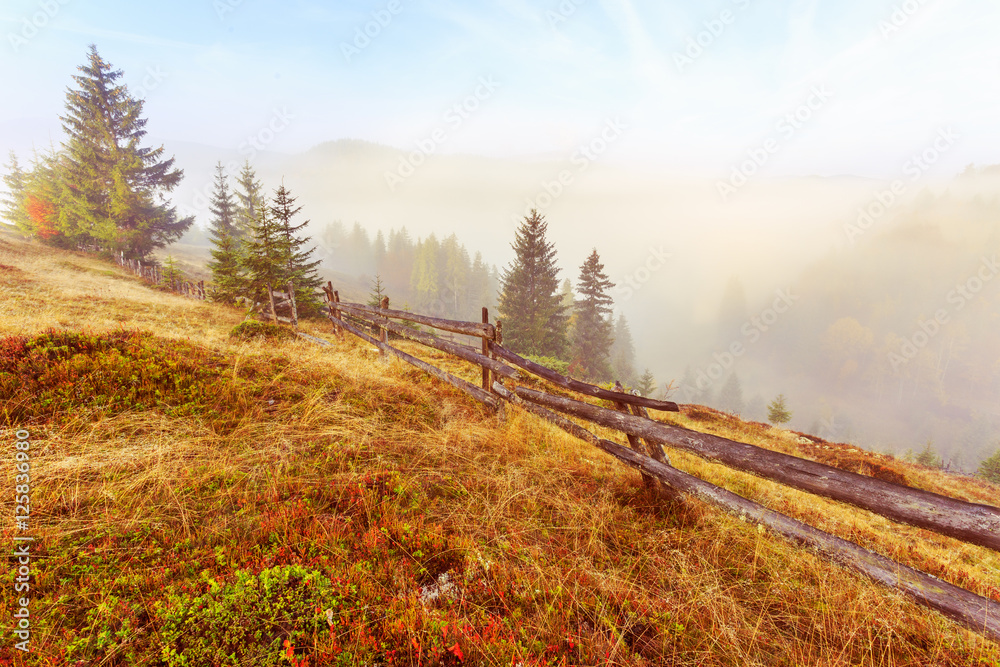 Colorful autumn landscape scene with fence in Transylvania