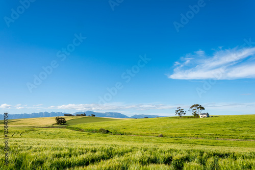 South African Farmland and Meadows close to Hermanus