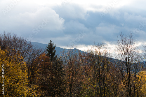 Summer landscape and the dark blue sky with clouds in mountains