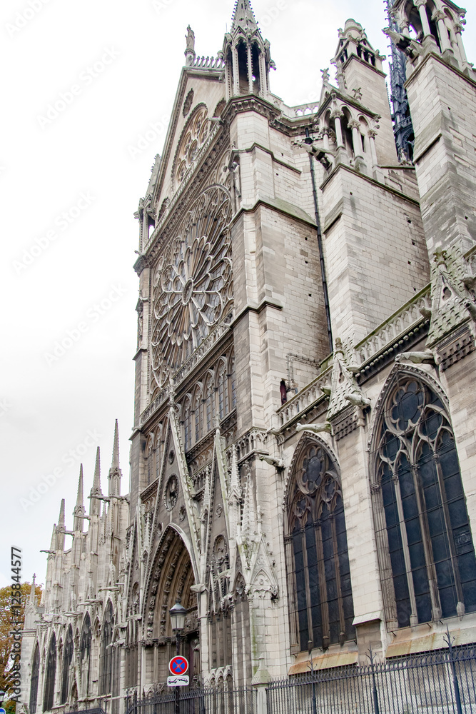 Fototapeta premium Side facade's details of Notre-Dame of Paris Cathedral
