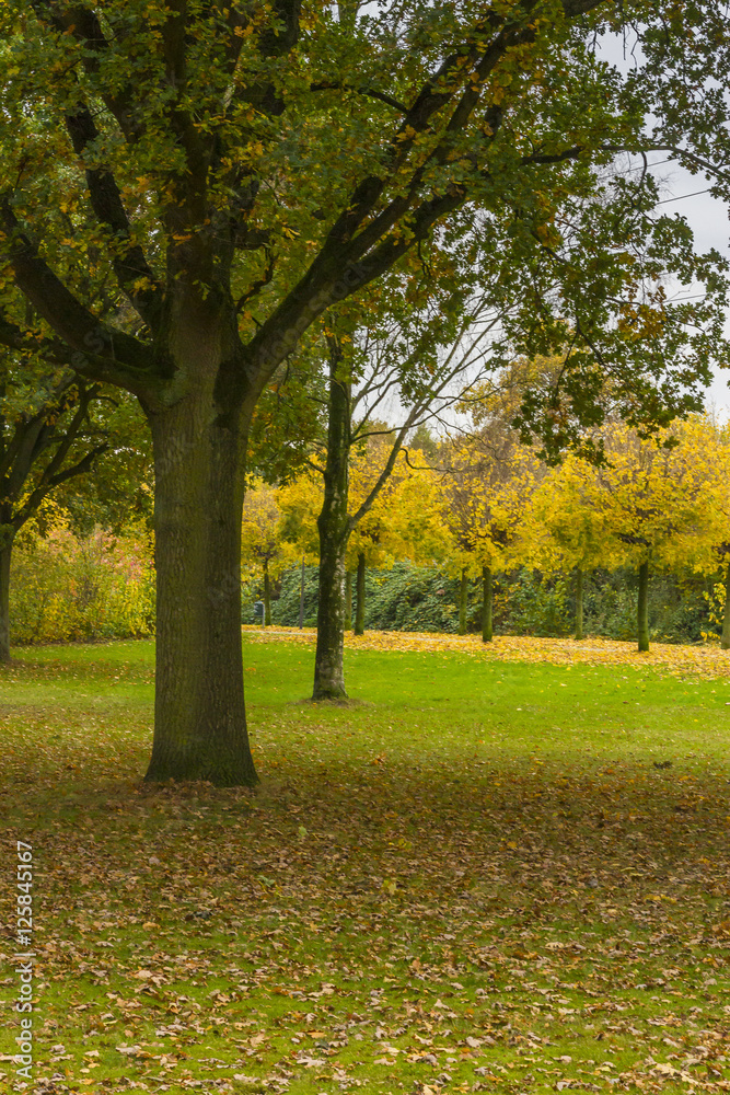 Herbst in Pellens-Park in Bremen