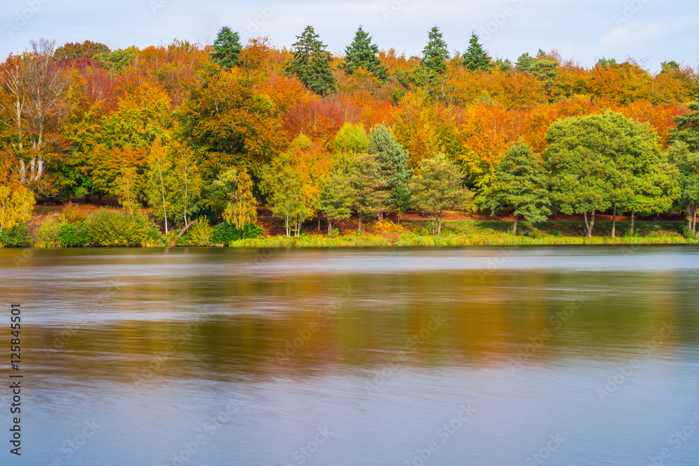 A lake in Virginia Water in Surrey, UK A lake in Virginia Water in Surrey, UK