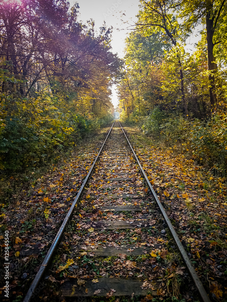 Railroad rails in autumn with sunshine