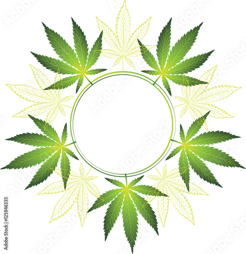 Сannabis leaves in a circle.