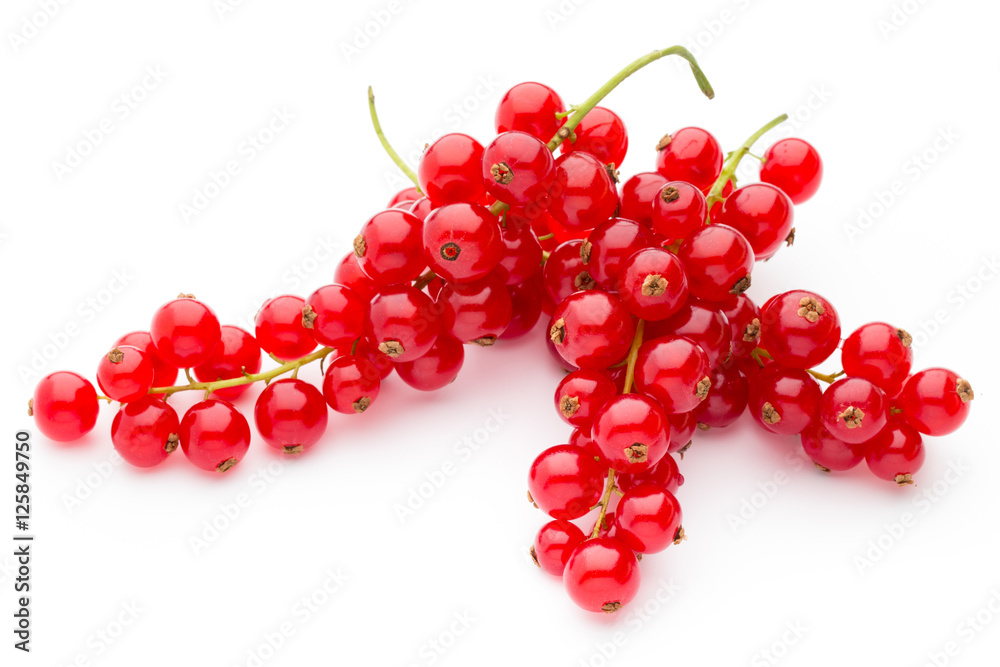 Red Currant close up isolated on white. Red Currant close up isolated on white.