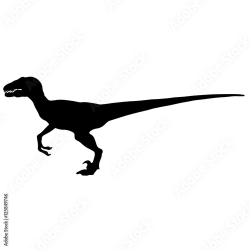 Black vector illustration silhouette of velociraptor © tcheres