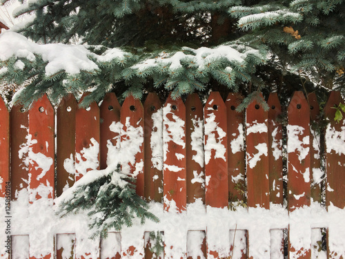 Winter wooden plank background, brown vertical boards, wood texture, fence and fir brunches, snow. © Magrig