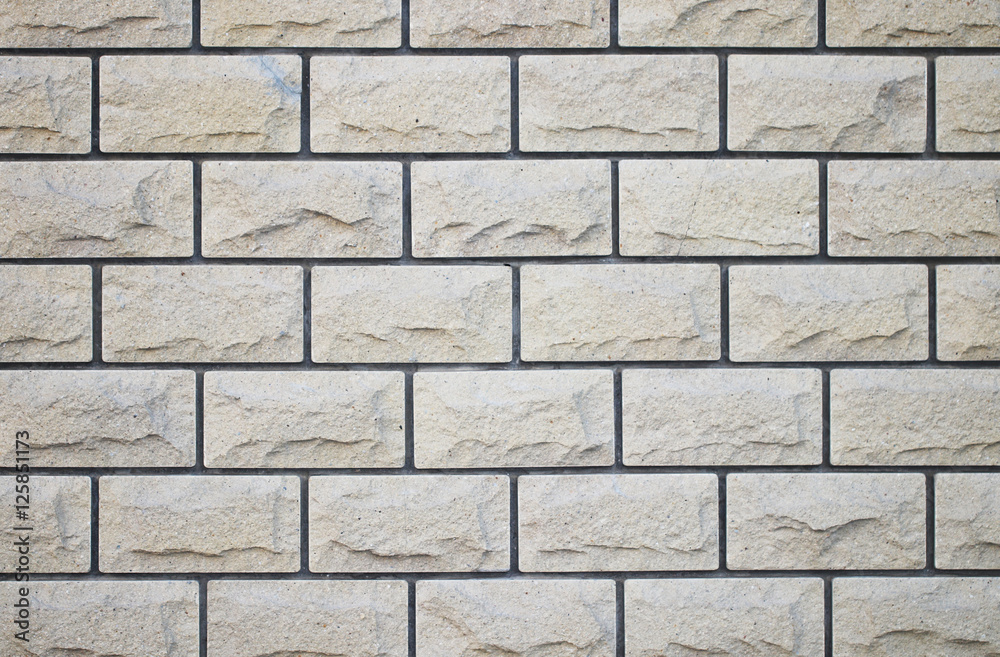 Forest trees. nature green wood backgrounds