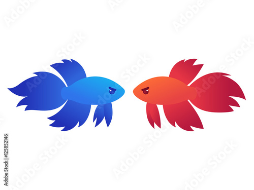 Siamese fighting fish