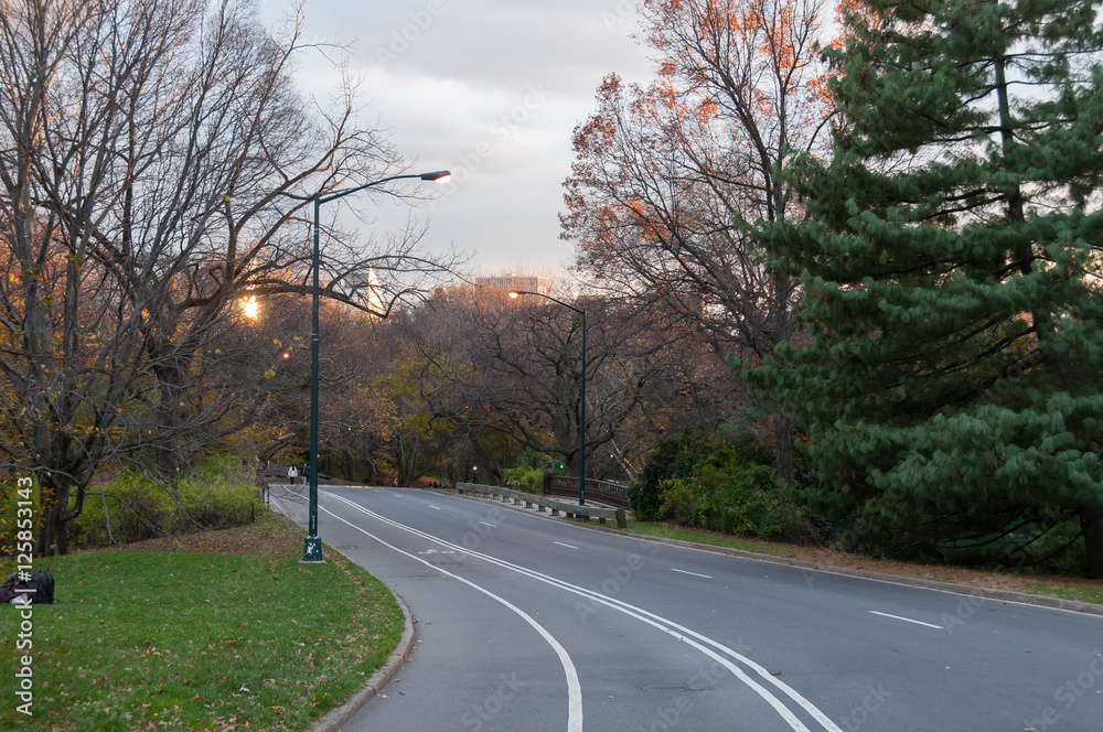 Paved road on Central Park, New York
