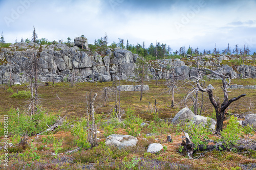 Natural landscape of the Mountain Vottovaara in Karelia, Russia photo