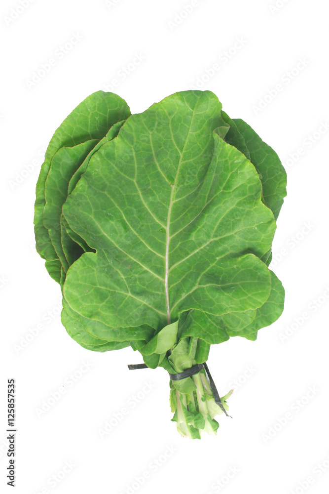 Couve Cabbage. Mineira Couve Cabbage. Mineira
