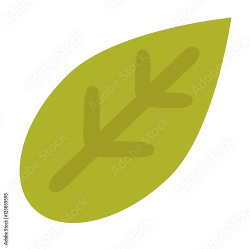 Leaf icon vector illustration.